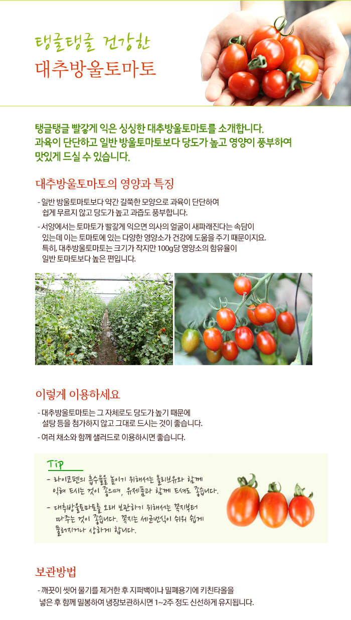 [대추방울토마토(500g)]좋은 의식주 문화를 함께 키워가는 건강 및 행복 공동체, 꽃피는 아침마을 [A23] [꽃피는 아침마을] 대추방울토마토(500g)