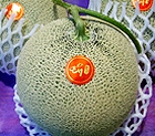  (8��5�ְ�������)�ӽ�ũ�޷�(2��)