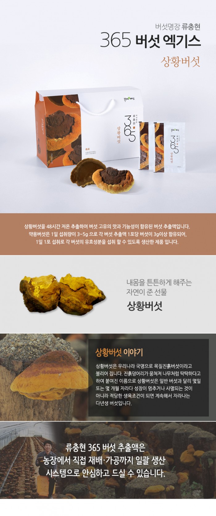 [(주)류충현약용버섯-류충현365상황버섯] 꽃피는 아침마을 [A23] [꽃피는 아침마을] 류충현365상황버섯