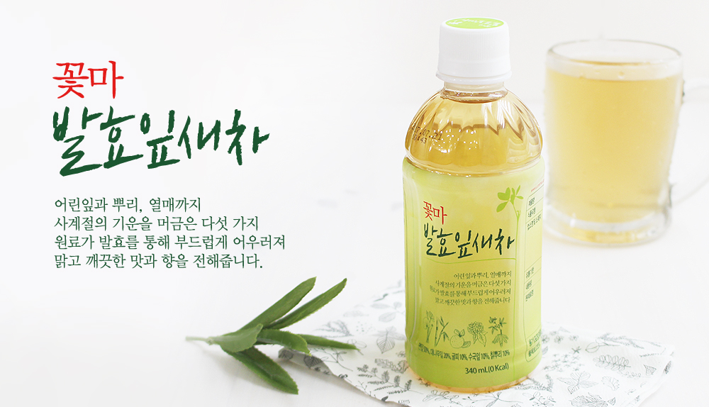 꽃피는 아침마을 | 꽃피는아침마을 꽃피는 아침마을