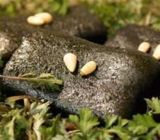 ��ǳ���� ������(10����)