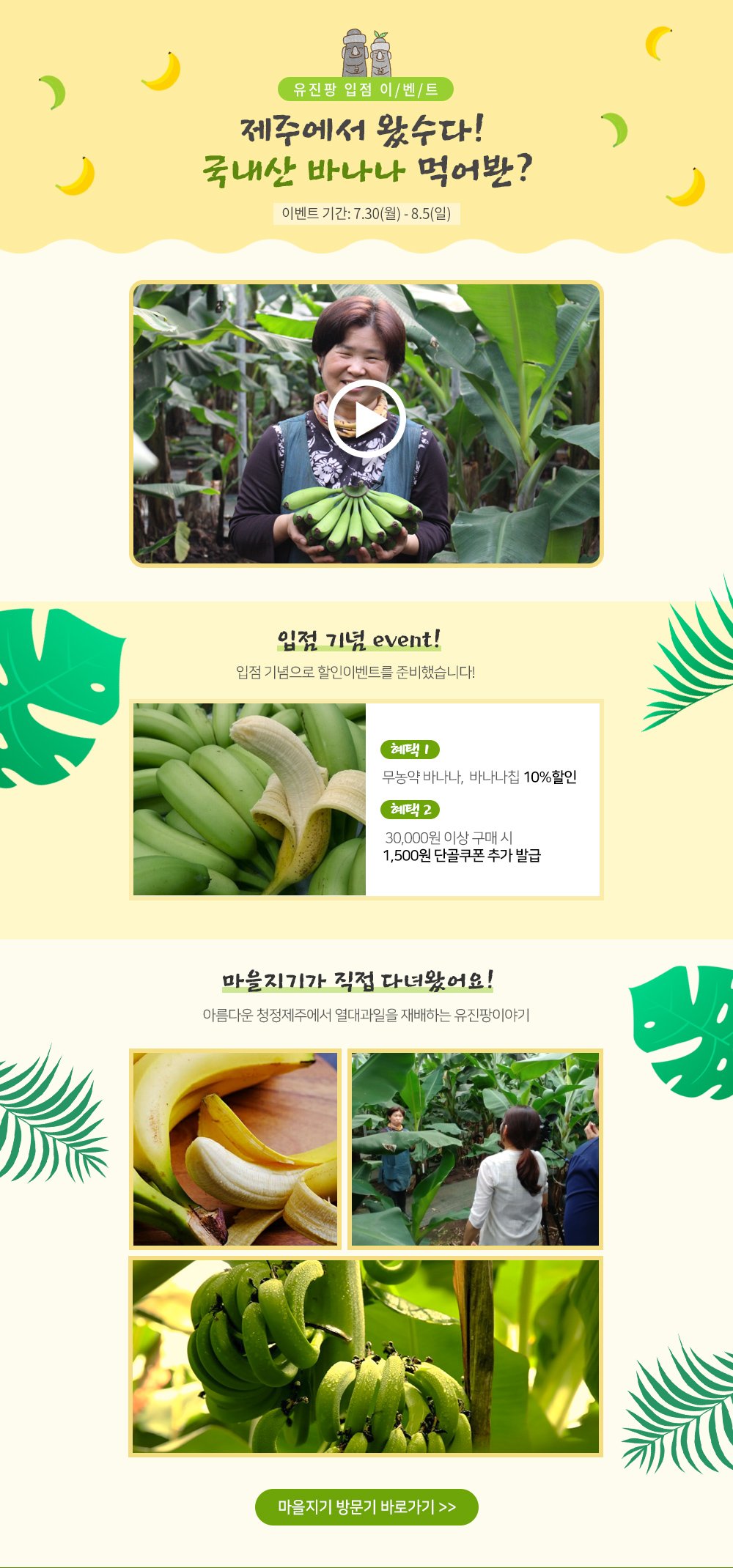 꽃피는 아침마을 | 꽃피는아침마을 꽃피는 아침마을