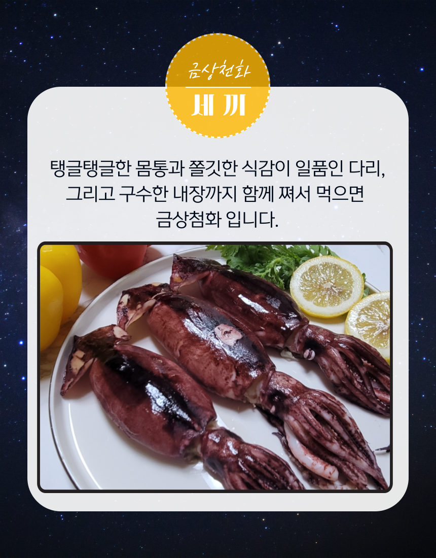 국산 초코오징어 4미,5미 급냉850g 내외 | 목포 수산물 명가_해담수산 | 꽃피는아침마을 [꽃피는 아침마을] 국산 초코오징어 4미,5미 급냉850g... 