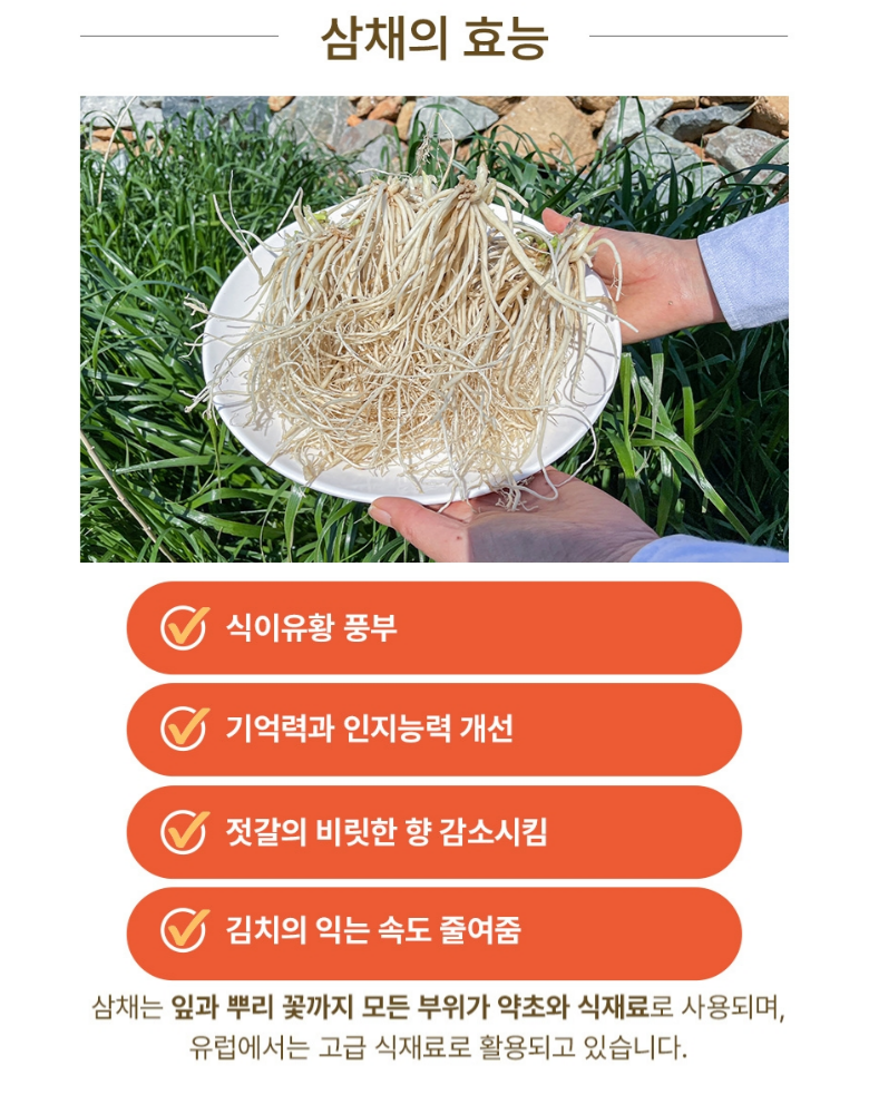 국산전라도식 절임배추 김장세트 단품구매가능 절임갓 배추 양념속 | 소셜바이오 팜스 | 꽃피는아침마을