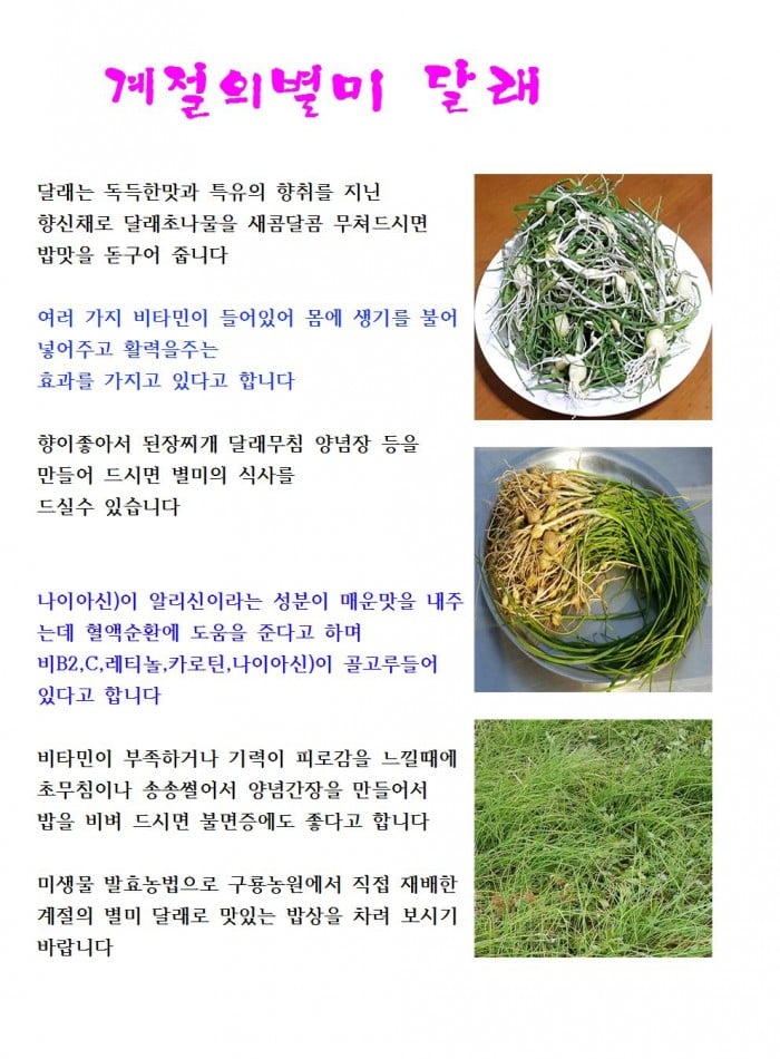 봄향기가득한 계절의별미 달래 300g | 구룡농원 | 꽃피는아침마을